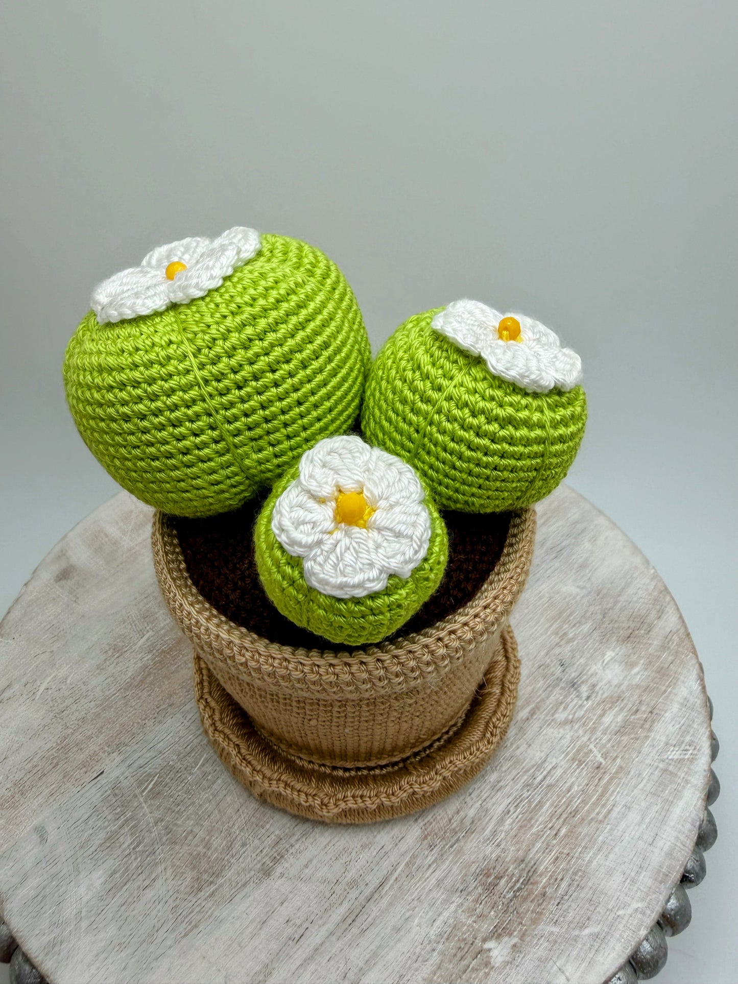 Stuffed Cactus 🌵 Toy - Crochet Knitted Amigurumi Toy