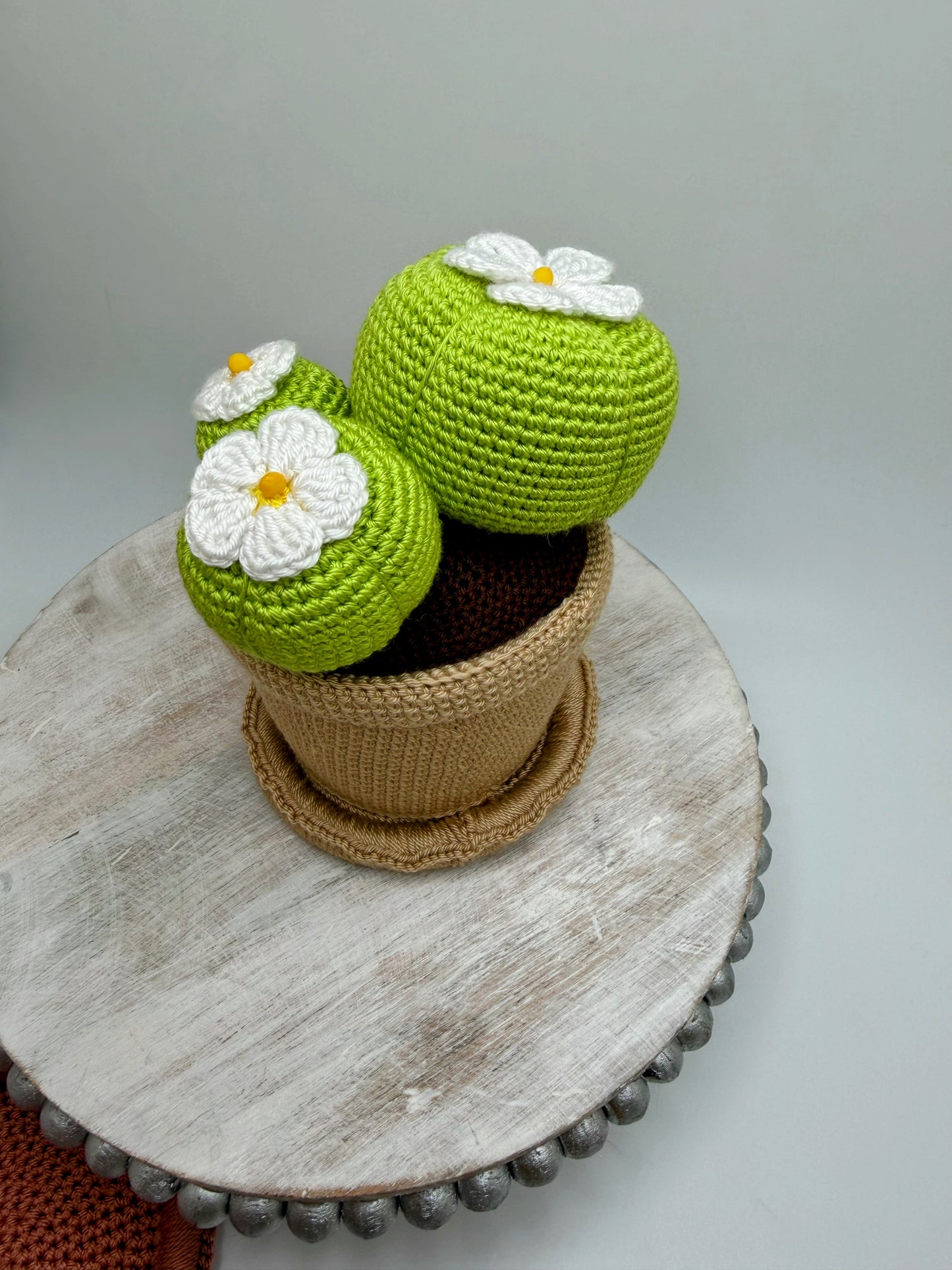 Stuffed Cactus 🌵 Toy - Crochet Knitted Amigurumi Toy