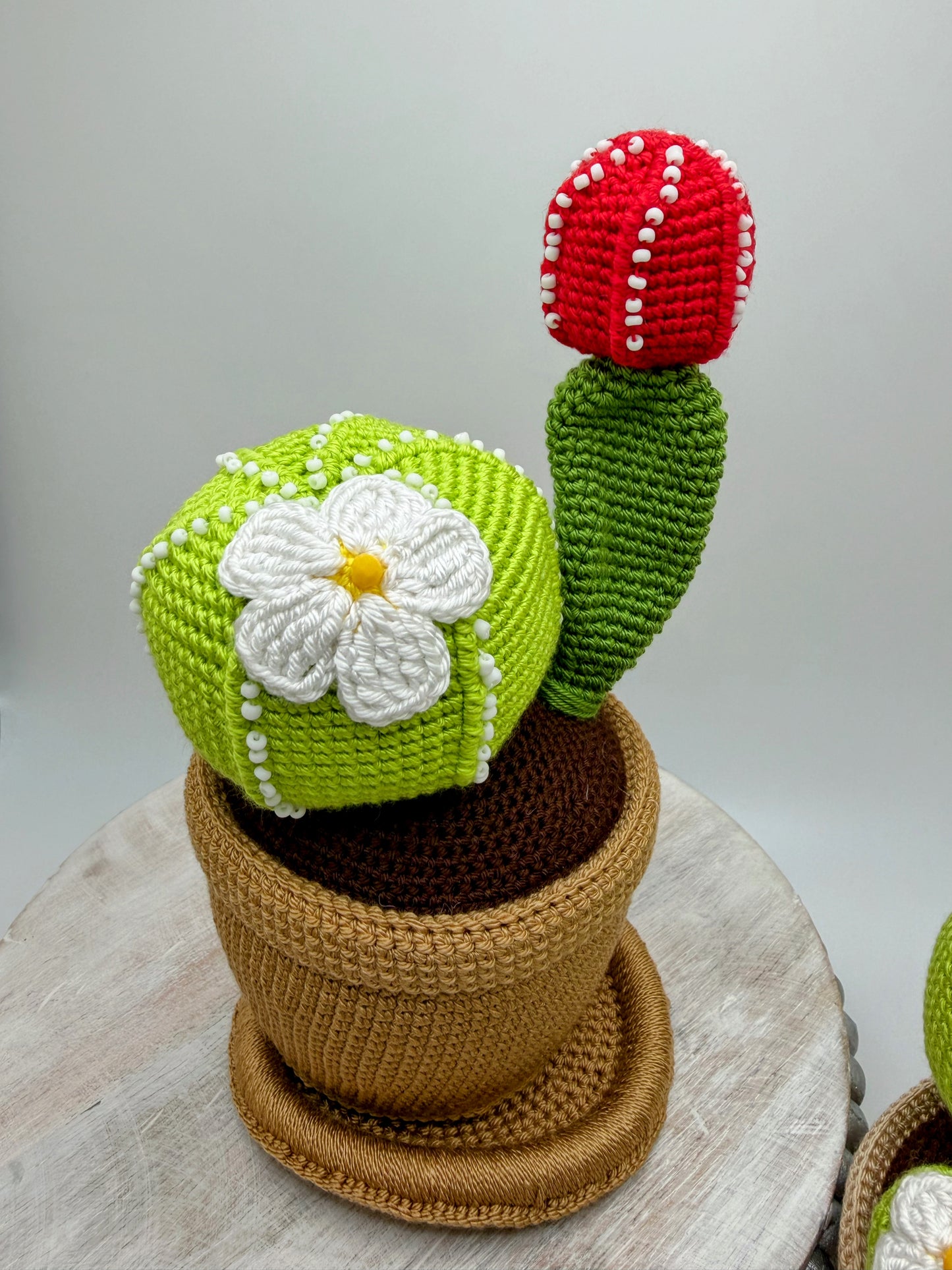Stuffed Cactus 🌵 Toy - Crochet Knitted Amigurumi Toy